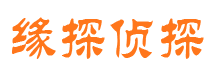 特克斯侦探